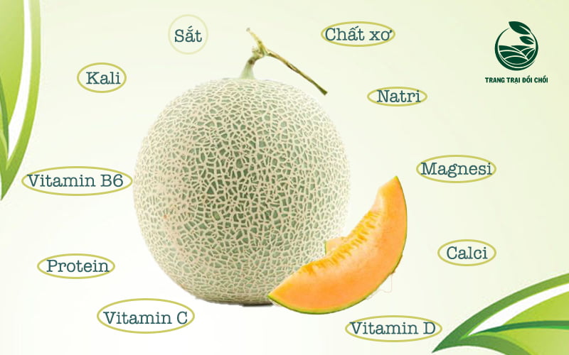 Các thành phần dinh dưỡng có trong dưa lưới