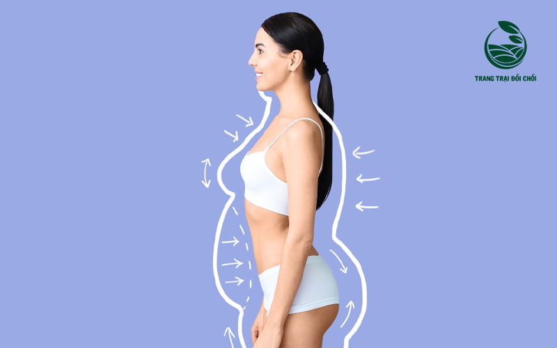 Dinh dưỡng trong dưa lưới giúp giảm cân, giảm cảm giác thèm ăn hiệu quả