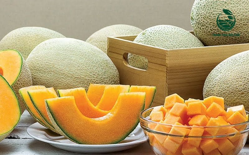 Trước khi bảo quản trong ngăn đá, bạn hãy tiến hành cắt nhỏ dưa lưới