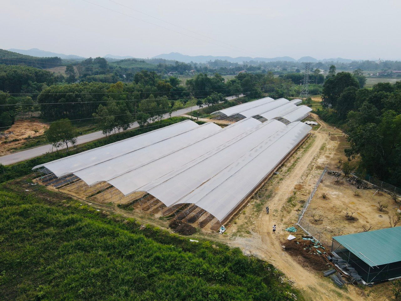 Mô hình Bud Hill Farm - Trang trại Đồi Chồi ở Đô Lương