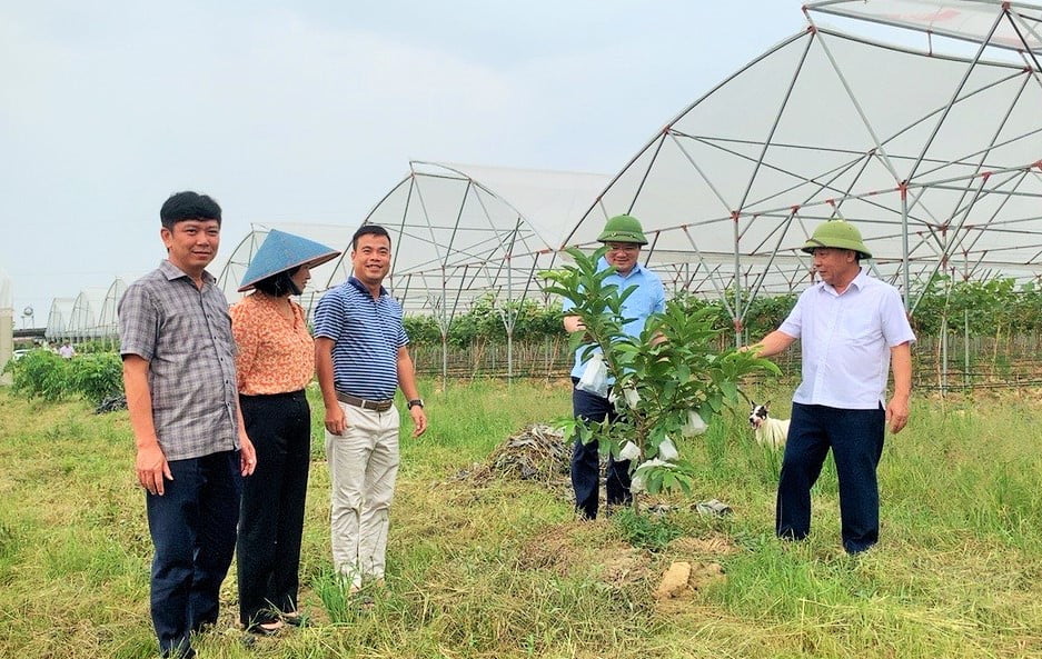 Các đồng chí lãnh đạo tỉnh và Sở Nông nghiệp và PTNT thăm mô hình Bud Hill Farm - Trang trại Đồi Chồi