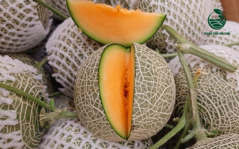 Khác với dưa lê, thịt quả dưa lưới sẽ có màu vàng ngả cam