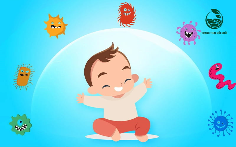 Dưa lưới giúp nâng cao hệ miễn dịch cho trẻ nhỏ