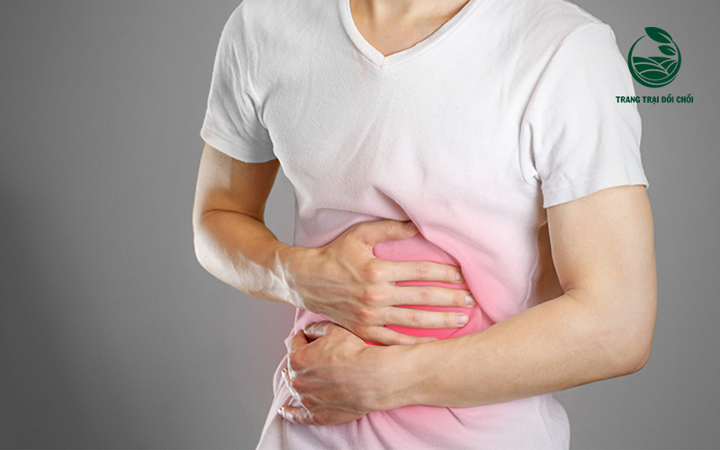 Người đau dạ dày ăn nho được không? 3 Lưu ý cần biết