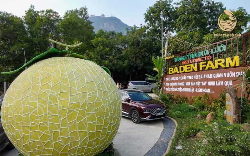 Tổ hợp nhà hàng, thăm quan Baden Farm 